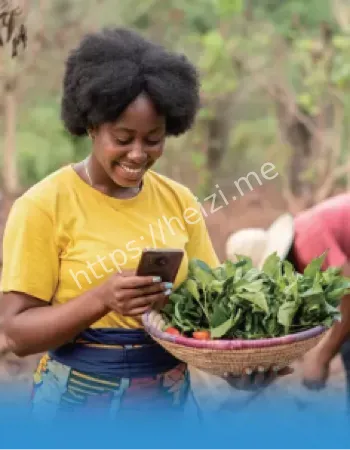 智能手机可负担门槛