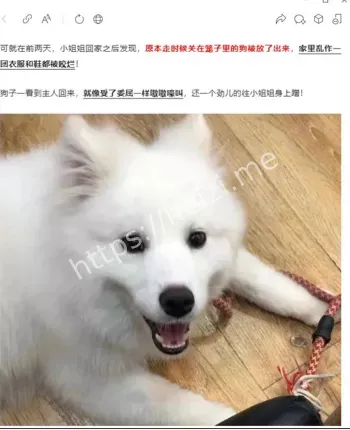 云南大理月溪村房东